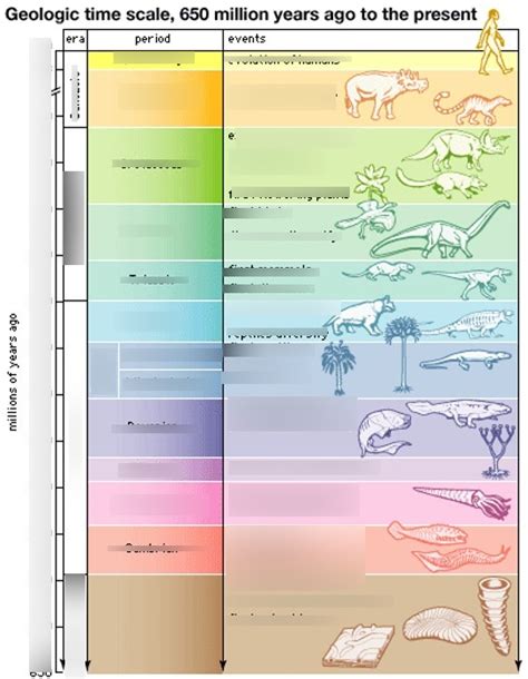 Geologic Time Scale Diagram Quizlet