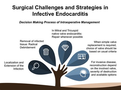 Jcm Free Full Text Surgical Challenges In Infective Endocarditis