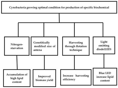 Current Issues and Developments in Cyanobacteria-Derived Biofuel as a ... 