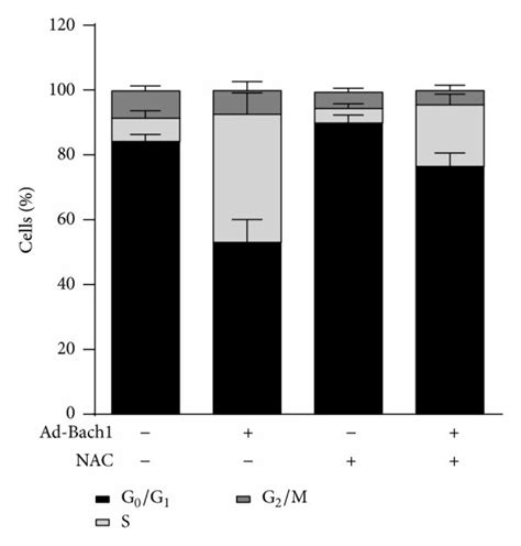 Bach Disrupts Cell Cycle Progression And Inhibits Cell Proliferation