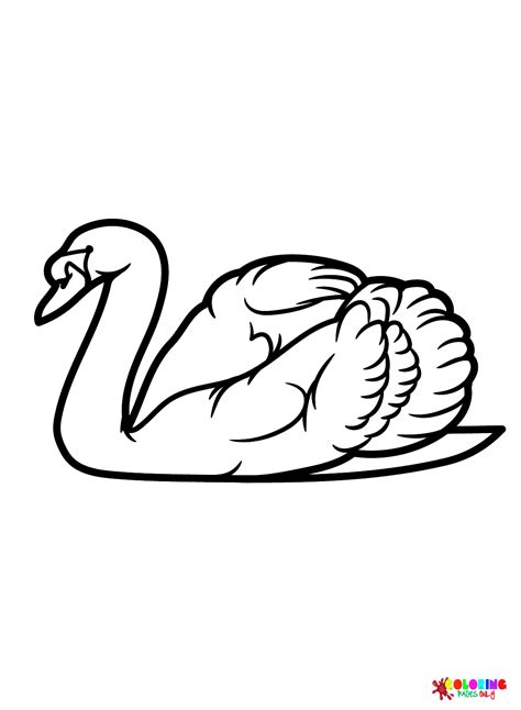 Swan color Sheets Coloring Page - Free Printable Coloring Pages