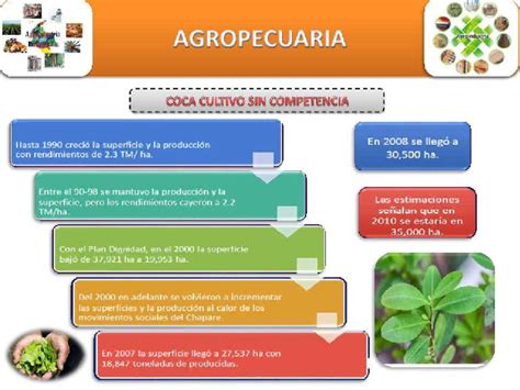 Desarrollo Rural Y Agropecuario En Bolivia Ppt Monografias