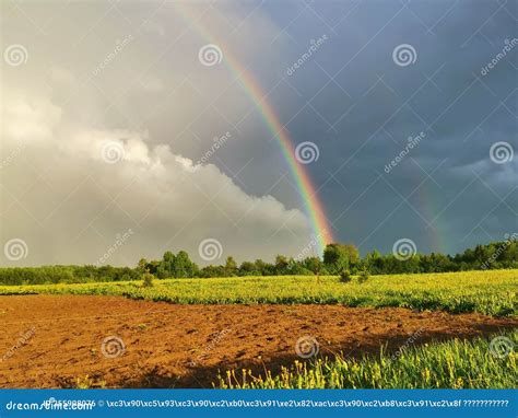 Rainbow on the sky stock photo. Image of rain, nature - 255908076