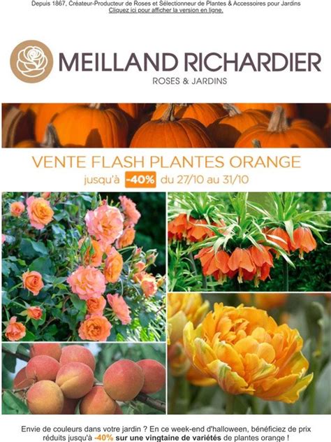 Meilland Richardier VENTE FLASH jusqu à 40 sur une sélection de