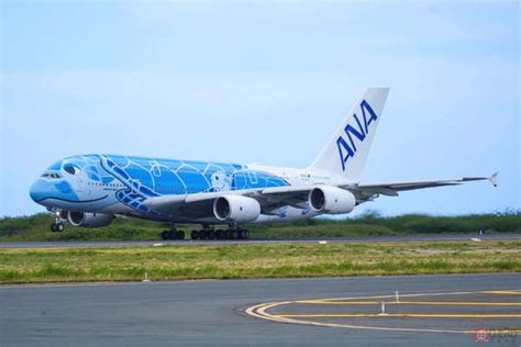 画像ギャラリー Ana巨大“ウミガメ”機「a380」がホノルル出発 28か月ぶりの定期便本復活 大迫力の離陸！ 乗りものニュース