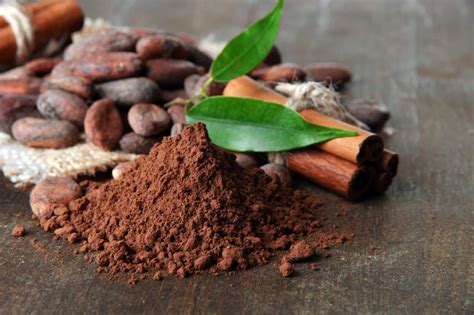 Comment Utiliser La Poudre De Cacao Pour Maigrir Information