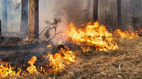 Cómo Prevenir Incendios