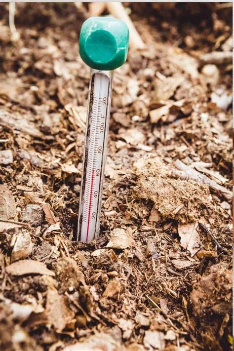 Best Compost Thermometer In Reviews And Comparison