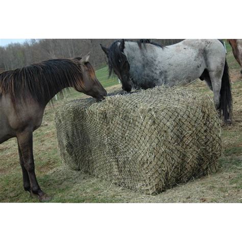 Hay Chix® Large Bale Net 6 Teskeys