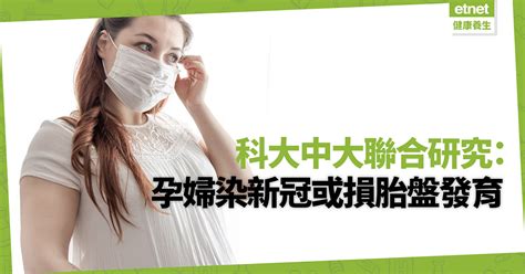 科大中大聯合研究：孕婦染新冠損胎盤發育！研發團隊：有助開發更佳治療方案 健康解「迷」 醫學通識 健康好人生 Etnet 經濟通 香港新聞財經資訊和生活平台