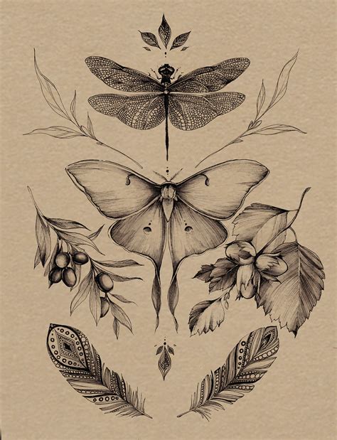 Botanical illustration on Behance