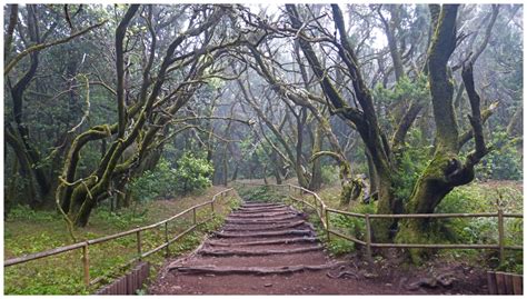 Top Imprescindibles Que Ver Y Visitar En La Gomera