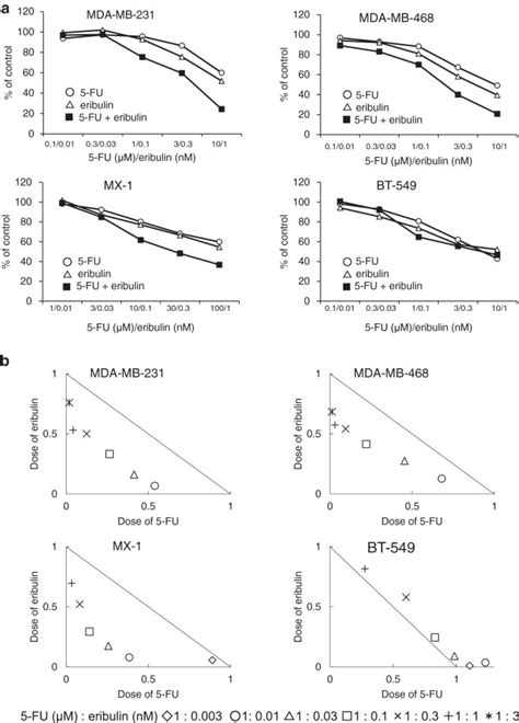 Synergistic Antitumor Effects Of S 1 With Eribulin In Vitro And In Vivo