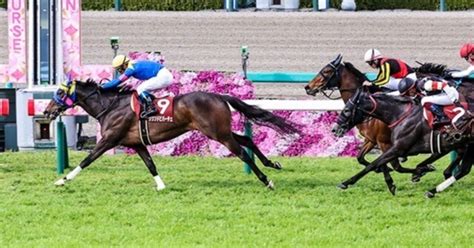 【2024 阪神牝馬s（g2）】日刊馬番コンピ指数分析予想篇｜haya