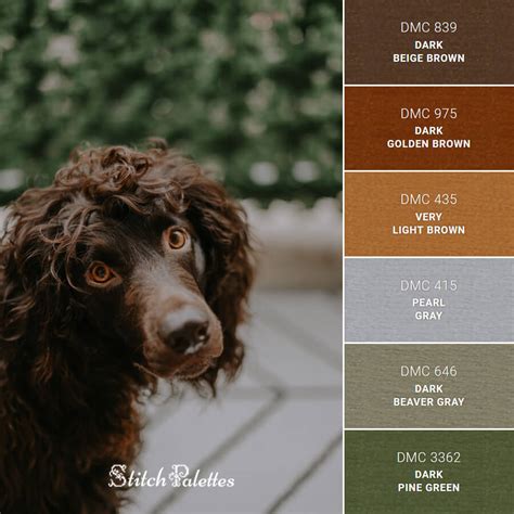 Brown Boykin Spaniel - Embroidery Color Palette (With Thread Codes)