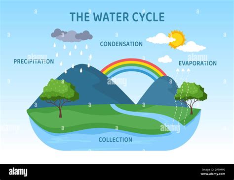 Agua Ciclo De Evaporación Condensación Precipitación Para La