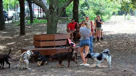 The Best Dog Parks In Nyc Hillside Park In Brooklyn Heights Dog Park