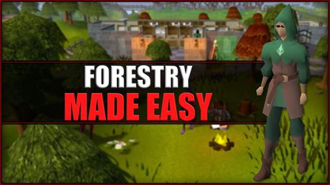 Quick Guide To Forestry In Osrs Youtube