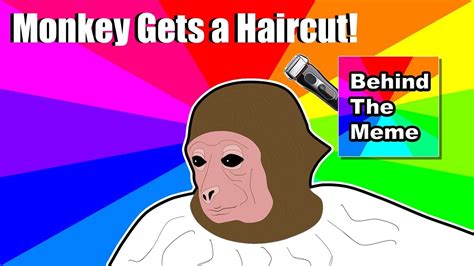 Monkey Getting Haircut Meme - Best Haircut 2020