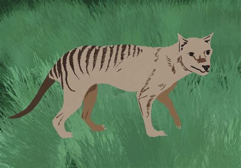 De Extinction Efforts With The Long Gone Tasmanian Tiger The Gauntlet