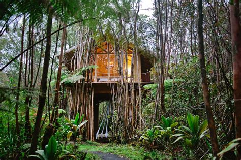 21 Best Treehouse Rentals in Hawaii (2023 Edition) - Treehouse Trippers