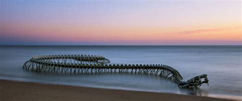 The image of a giant monster skeleton emerging from the sea and its ...