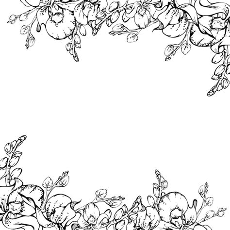 Flower Border Clip Art Black And White