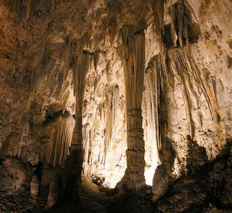 Difference Between Cave and Cavern | Compare the Difference Between ...