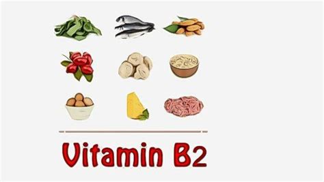 List of foods high in vitamin B complex you should know