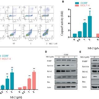 Mi Induced Apoptosis Of T All Cells In A Dose Dependent Manner A