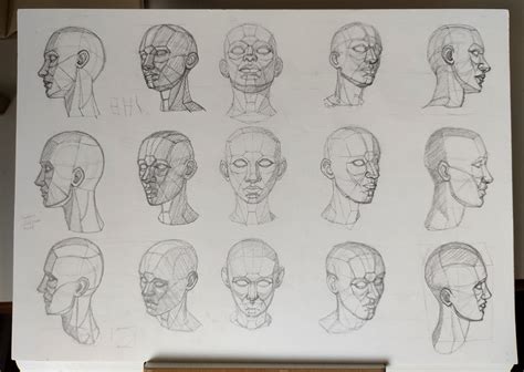 head planes  perspective study  thoughts rlearnart