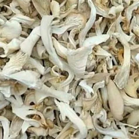 A Grade Dry Oyster Mushroom Pp Bag Gm At Rs Kg In Midnapore