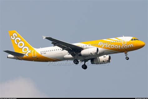 V Trd Scoot Airbus A Photo By Alexander Jeglitsch Id