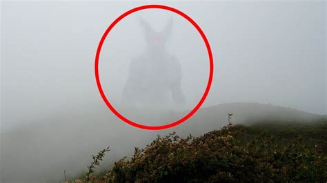 5 Misteriosas Criaturas Gigantes Capturadas Por CÂmeras Na Vida Real