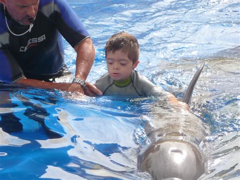 Menudos Genios Terapia Con Delfines