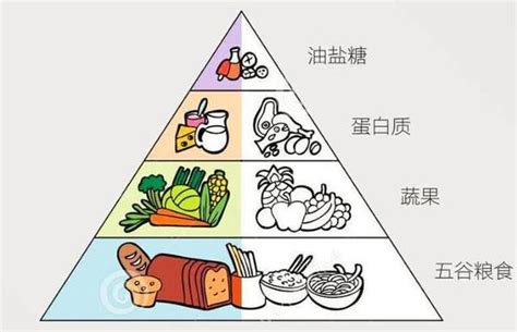 健康饮食金字塔简笔画 图库 五毛网