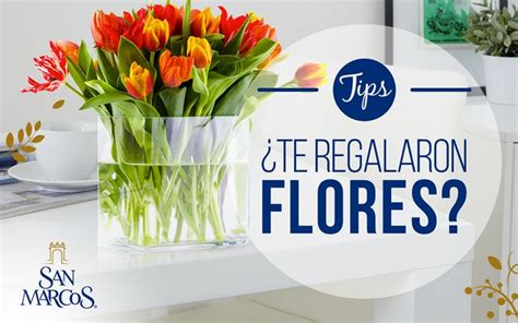 Para Que Tus Flores Duren M S Al Ponerlas En Tu Florero Utiliza Agua