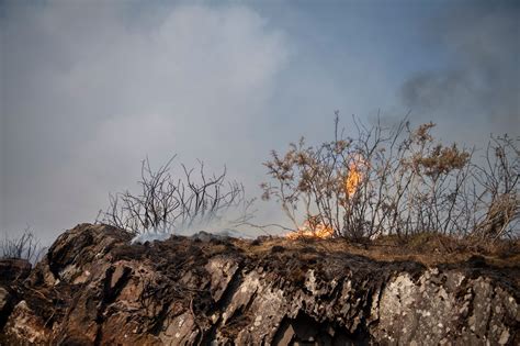 Lincendie Dans La Forêt De Brocéliande Contenu Aux Deux Tiers