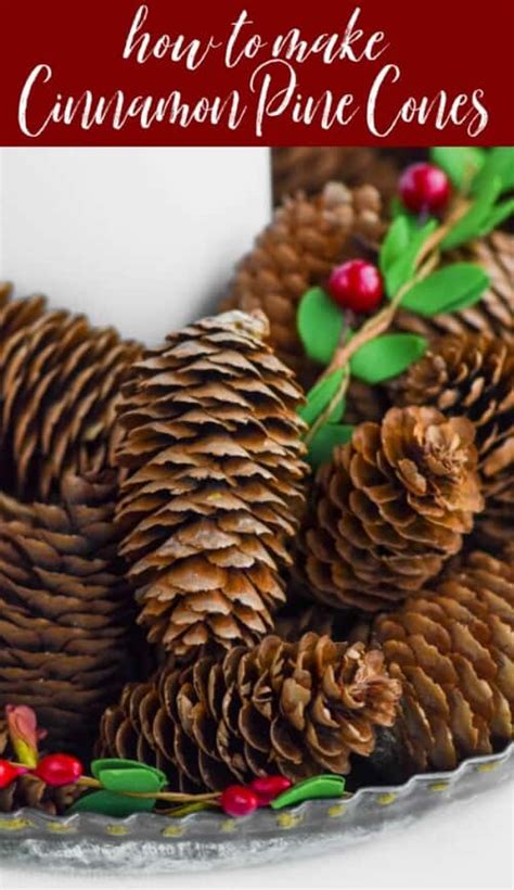 Cinnamon Scented Pine Cones Simple Joy