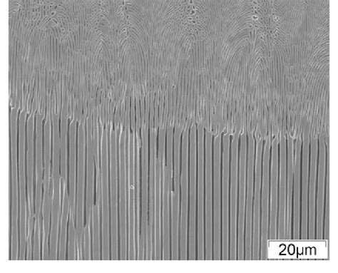 Eutectic Morphology At The Quenching Interface Of The Sample With A