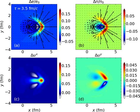 Transverse Distributions Of The Perturbations In A The Rescaled