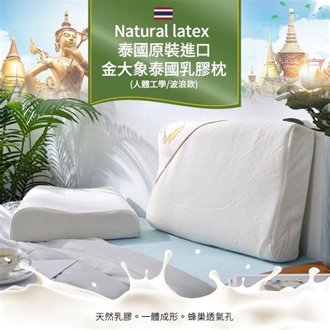 【natural Latex】泰國原裝進口金大象泰國乳膠枕1入人體工學波浪款q彈支撐釋壓舒眠 Pchome 24h購物