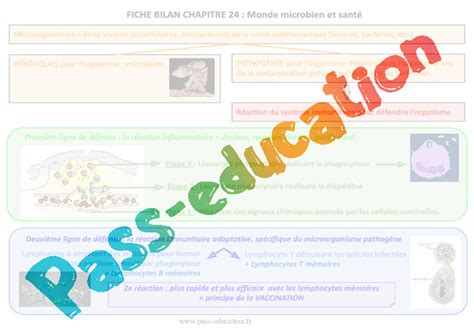 Monde microbien et santé 3ème Evaluation avec les corrigés PDF à