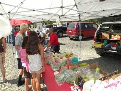 Brownsville Farmers Market, Brownsville, California | Yuba county ...