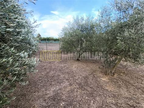 Terreno Agricolo Via Dei Casaletti 37 Cerveteri Rif 96832268