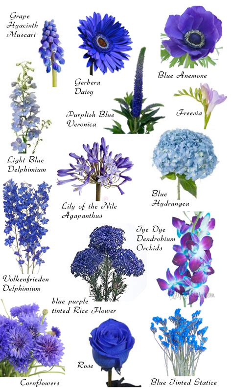 Natural Blue Flowers And Their Names Blue Wedding Flowers Beautiful