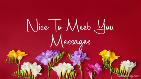 Nice To Meet You Messages And Quotes Wishesmsg