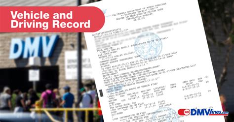 Vehicle Record License Record Dmv Registration No Dmv Lines