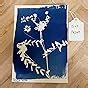 Amazon Jacquard Cyanotype For Photographic Blueprints On Paper