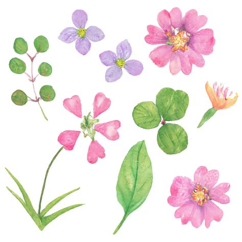 Premium Ai Image A Set Of Watercolor Flowers On A White Background